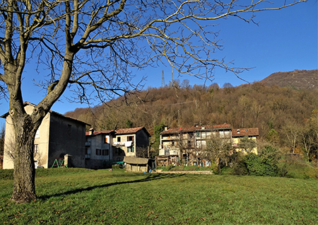 Monte Zucco (1232 m) ad anello in solitaria sui sentieri di casa (Zogno-300 m) 18nov闂????20 - FOTOGALLERY